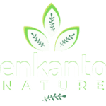 enkanto nature